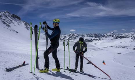 WorldSkiTest: Горные лыжи сезона 2024/2025. Мужские лыжи для ски-тура с талией 83-88 мм