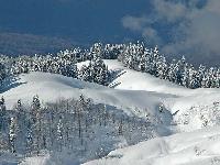 На горнолыжных курортах Сочи выпал долгожданный снег