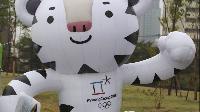 МОК остался доволен подготовкой Пхенчхана к Играм-2018 МОК остался доволен подготовкой Пхенчхана к Играм-2018