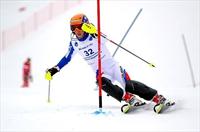 На Всероссийских детско-юношеских соревнованиях на Банном слалом-гигант в старшей группе выиграл Даниил Лупарев На Всероссийских детско-юношеских соревнованиях на Банном слалом-гигант в старшей группе выиграл Даниил Лупарев