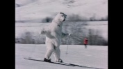 Warren Miller's Many Moods of Skiing (Trailer)