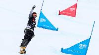 Сноуборд. Чемпионат мира. Логинов выиграл золото в параллельном гиганте, у Соболевой – серебро (видео) 