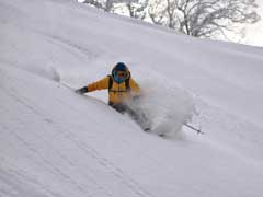 二人見し雪は今年も降りけるか