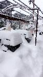 Небывало ранние сезонные снегопады в Альпах Небывало ранние сезонные снегопады в Альпах