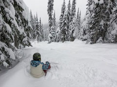 Где покататься на лыжах и сноуборде в конце января 2020 г