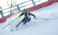 Чемпионат и Первенство Москвы среди юниоров 2014 по горнолыжному спорту 