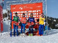 Россияне выиграли медали Кубка Европы по ски-кроссу и могулу Россияне выиграли медали Кубка Европы по ски-кроссу и могулу
