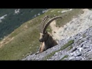 Google Trekker AltaValtellina