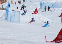 Один старт и перерыв на два месяца 