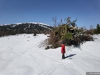 Турцентр Шерегеш подвел итоги зимнего сезона на горнолыжном курорте 