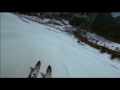 Downhill Racer - CRITERION - OFFICIAL TRAILER