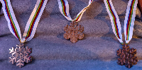 Совет FIS избрал Оберстдорф местом проведения Чемпионата мира по лыжным гонкам FIS 2031 года Совет FIS избрал Оберстдорф местом проведения Чемпионата мира по лыжным гонкам FIS 2031 года