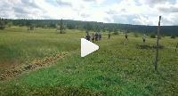 Группа Крамера на сборе в Норвегии бегает по грязи в качестве тренировки 