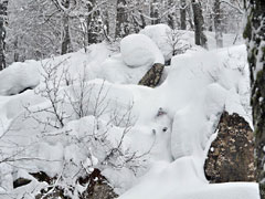 Закрытый курорт