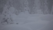 James Heim deep powder pillows in British Columbia -- Shot by Mason Mashon