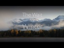 The Wonder Reels, S2: The Wait For Winter