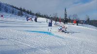 Командные соревнования в параллельном слаломе в Полярных Зорях выиграла сборная Камчатки 