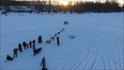 2017 Knik 200 Dog Sled Race