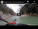 Kayaker Saves a Deer from Drowning in Italy