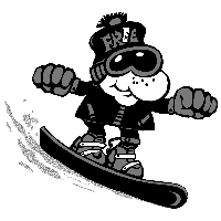 Самоучитель игры на сноуборде