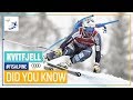 Did You Know | Kvitfjell | Men | FIS Alpine