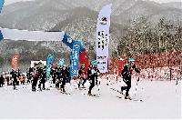 На Камчатке завершился чемпионат и первенство России по ски-альпинизму На Камчатке завершился чемпионат и первенство России по ски-альпинизму
