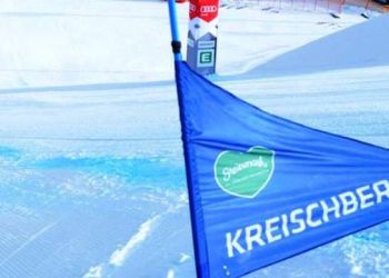 Крайшберг: за 4 месяца до чемпионата