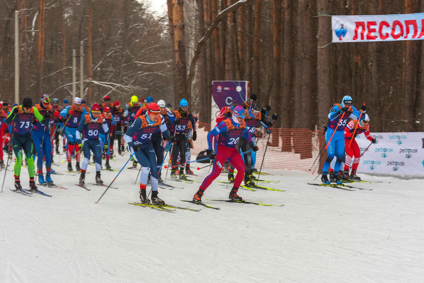 В Саратовской области пройдет лыжный марафон PETROVSK-SKI