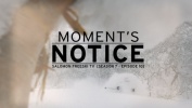 Moment's Notice - Salomon Freeski TV S7 E10