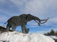 Горнолыжный курорт Mammoth Mountain будет открыт до 28 июня Горнолыжный курорт Mammoth Mountain будет открыт до 28 июня