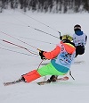 Чемпионат России по сноукайтингу Чемпионат России по сноукайтингу