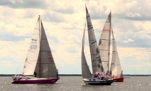 Восемь экипажей парусных яхт отправились в морское путешествие