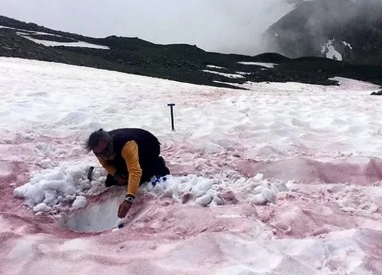 Вершины Французских Альп окрашивают красным микроводоросли