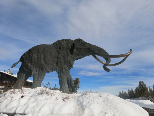 Горнолыжный курорт Mammoth Mountain будет открыт до 28 июня