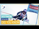 DId You Know | Sestriere | Women | FIS Alpine