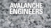 Avalanche Engineers